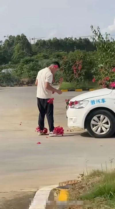 图片中，一名男孩捡拾着掉落在地上的玫瑰花，站在标有“教练车”字样的白色车前，场景气氛沮丧而无奈。从画面来看，男孩刚刚表白失败或是遭遇尴尬，被网友戏称为“表白现场社死”，非常适合用来表达情感受挫的情绪。教练车的出现又隐含着“人生挂科”的双关梗。