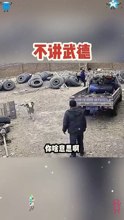 图片展示了一个室外场景，地面上散落着许多轮胎，一辆卡车停在画面右侧。一名男子站在卡车前，面对一只正向他跑来的狗。图片上方有红色大字'不讲武德'，下方有白色文字'你啥意思啊'，四周有简单的卡通装饰图案。