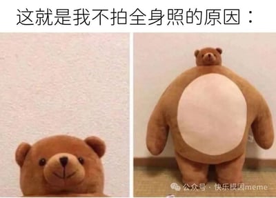 该梗图通过左右两张泰迪熊的对比照片，幽默展现“不拍全身照的原因”。左侧为泰迪熊的脸部特写，它有着圆圆的眼睛、黑色的小鼻子和微笑的嘴巴，显得十分可爱；右侧则是泰迪熊的全身照，露出了其圆滚滚的大肚子，与左侧的可爱特写形成鲜明反差。图片上方配有文字“这就是我不拍全身照的原因：”，以拟人化的方式调侃人们拍照时更倾向于展示局部优点而非全身的心理。