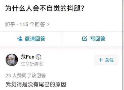 知乎问题“为什么人会不自觉的抖腿？”的回答页面截图，显示用户“范Fun”以“生命折腾者”身份发表幽默回答：“我觉得是没有尾巴的原因”，该回答获得24人赞同。页面包含问题标题、回答数量（115个）及“邀请回答”“写回答”按钮，用户头像为一只戴帽子的猫。