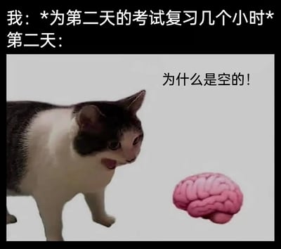 这是一张精准戳中学生考前记忆断层尴尬的搞笑梗图，图中上方文字先铺垫场景：“我：*为第二天的考试复习几个小时* 第二天：”，下方使用网络知名的mur猫表情包，这只猫露出震惊崩溃的怪异表情，盯着一旁的粉色大脑图案，配文“为什么是空的！”，用夸张的视觉效果和文字，生动还原了很多人考前花费数小时认真复习，到了考试当天却发现大脑一片空白、什么都记不起来的无奈又崩溃的瞬间，引发学生群体的强烈共鸣。