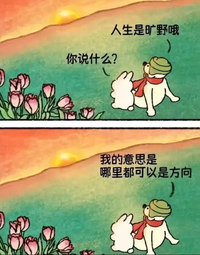 这是一张两格连环漫画，画面采用温暖的水彩风格。上半格中，一只戴着绿色帽子和红色围巾的白色小狗坐在开满粉色郁金香的山坡上，背景是橙黄色的夕阳。小狗说："人生是旷野哦"，另一个角色回应："你说什么?"。下半格画面构图相似，小狗继续解释："我的意思是哪里都可以是方向"。整幅漫画传达出一种豁达、自由的人生态度，鼓励人们不必拘泥于固定的道路，而是可以随心选择自己的方向。