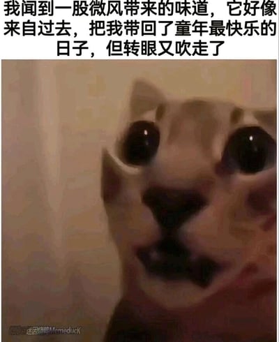 这是一张经过二次创作的图文结合表情包，画面主体是一只面部模糊的猫咪，它的神态朦胧又带着失落感，完美契合了上方配文的情绪。配文“我闻到一股微风带来的味道，它好像来自过去，把我带回了童年最快乐的日子，但转眼又吹走了”，细腻地描绘了人们偶然被熟悉的气味勾起童年美好回忆，却又因回忆转瞬即逝而产生的怅然若失之感，将那种抓不住逝去时光的伤感通过猫咪的模糊神态直观展现，容易引发观者对童年往事的共情，适合在社交平台中抒发对旧时光的怀念与失落情绪。