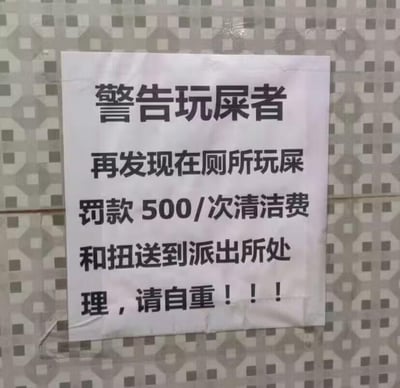 这是一张张贴在带有灰绿色几何图案墙面上的纸质警告告示，告示以黑色粗体简体中文书写，内容针对在厕所内玩屎的不文明行为，明确列出了处罚措施：再发现此类行为将罚款500元/次清洁费，并扭送到派出所处理，最后以三个感叹号强调“请自重”，整体语气十分严肃强硬，旨在约束不良如厕行为，图中内容无谐音梗、双关或暗示类表述。