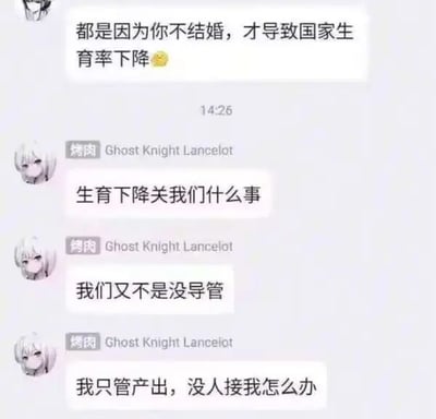 这是一张社交媒体聊天记录截图，内容围绕生育率下降的话题展开。上方匿名用户将国家生育率下降的原因片面地归结于对方不结婚，这种说法将复杂的社会问题简单归咎于个人，显然并不合理。下方名为“烤肉 Ghost Knight Lancelot”的用户用幽默玩梗的方式回应，通过“我们又不是没导管”“我只管产出，没人接我怎么办”这样的表述，用双关的方式调侃自己具备生育能力，但因为没有合适的伴侣所以无法完成生育，以此反驳对方的无端指责，用轻松搞笑的态度消解了被催婚和被指责的尴尬，也侧面反映了当下年轻人面对催婚和社会生育话题的无奈与自嘲。