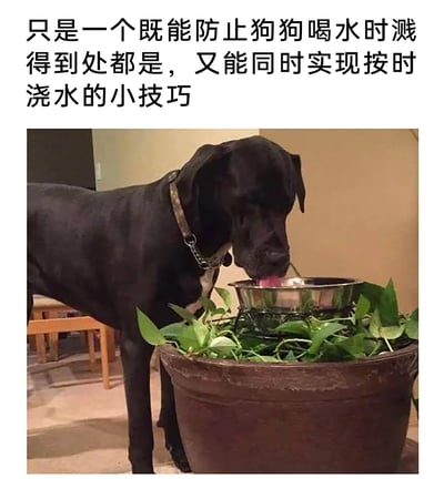 暂无描述