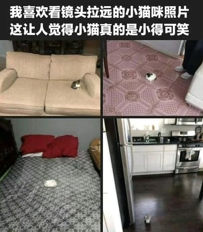 图片为2x2网格的四宫格拼贴，每张照片均从远距离视角拍摄小猫咪，分别展示了小猫静坐在米色沙发上、花纹地板上、铺有花纹床单的床上以及厨房地面的场景。上方配有文字“我喜欢看镜头拉远的小猫咪照片 这让人觉得小猫真的是小得可笑”，通过远距离拍摄的透视效果，使原本正常大小的猫咪在画面中显得异常小巧，营造出可爱又搞笑的视觉反差。