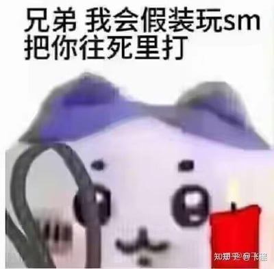 图片中是一个卡通熊猫形象，熊猫头部有紫色的耳朵，面部表情看起来比较搞怪，眼睛大而圆，嘴角微微上扬。熊猫手中似乎拿着一个红色的物体和一条黑色的线条状物品。图片上方有一行黑色文字：“兄弟 我会假装玩sm 把你往死里打”，整体风格幽默，带有调侃的语气，用于朋友间的玩笑互动。
