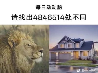 这是一张搞笑整活的网络梗图，采用左右拼接的形式呈现。图片上方配有文字“每日动动脑 请找出4846514处不同”，左侧是一张真实的雄狮特写照片，雄狮侧脸面向画面右侧，毛发浓密，神情平静，背景是模糊的自然环境；右侧是一张现代双层住宅的照片，房屋为灰蓝色调，带有双车库，门前地面有积水反光，天空呈现黄昏时分的色彩。这张图的核心笑点在于谐音梗，数字“4846514”谐音“是不是辣眼睛”，用来调侃这两张完全不相关的图差异过大，根本不是常规的找不同题目，通过这种反差感和谐音梗制造出荒诞搞笑的效果，属于典型的网络整活内容。