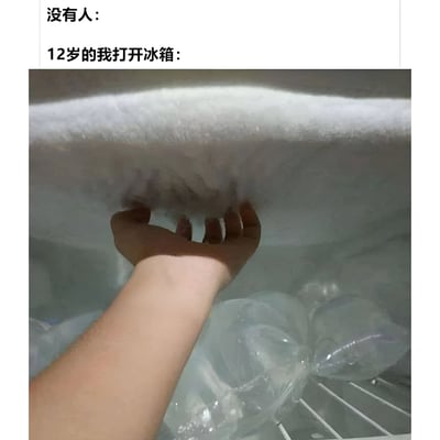 图片上方文字为“没有人：”，下方文字为“12岁的我打开冰箱：”，配图是一只手伸进结满厚厚冰霜的冰箱冷冻室，里面还有几个被冻住的塑料瓶。通过对比手法幽默展现了童年时期打开冰箱时常见的冰霜场景，引发观众对童年生活的共鸣。