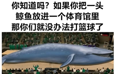 图片上方是黑色加粗文字'你知道吗？如果你把一头鲸鱼放进一个体育馆里 那你们就没办法打篮球了'，下方是一张合成图片，显示一头巨大的蓝色鲸鱼被放置在篮球场体育馆内，占据了大部分场地，周围有观众坐在看台上，部分人抬头看向鲸鱼，场景荒诞搞笑，通过夸张的对比制造幽默效果。