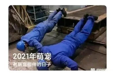 这是一张充满趣味的职场日常照片，图中两位身着蓝色工装、头戴蓝色安全帽的工地工作人员，将双腿搭在金属构件上，上半身趴在地面，两人的姿势组合在一起形成了类似四足萌宠的视觉错位效果。图中搭配文字“2021年萌宠 有萌宠相伴的日子”，用这种视觉错位的方式调侃工作人员的姿势为“萌宠”，以此来展现工地工作之余的自娱自乐，为枯燥的职场生活增添趣味，属于典型的视觉错位类搞笑梗图。