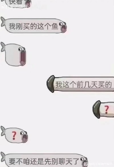 这是一幅四格漫画风格的梗图，展示了几条拟人化的鱼之间的对话。第一条鱼说'我刚买的这个鱼'，第二条鱼回应'我这个前几天买的'，第三条鱼带着问号表示困惑，第四条鱼提议'要不咱还是先别聊天了'。
