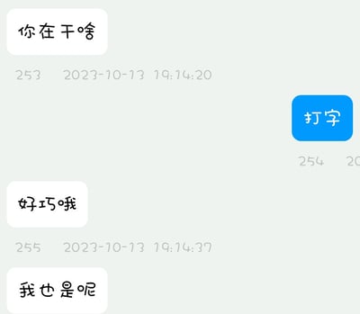 一张聊天对话截图，显示了简短的对话内容：'你在干啥'、'好巧哦'和'我也是呢'。截图中包含时间戳'2023-10-13 19:14:20'和'2023-10-13 19:14:37'，以及一个蓝色的'打字'按钮。