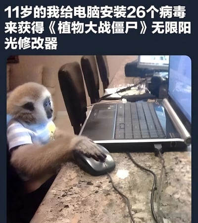 图片展示了一只穿着条纹T恤的猴子坐在电脑前使用鼠标的场景，上方配有文字'11岁的我给电脑安装26个病毒来获得《植物大战僵尸》无限阳光修改器'。这张图片通过拟人化的猴子形象幽默地再现了许多人童年时期为了在游戏中获得优势而冒险下载不明软件的经历，充满怀旧感和喜剧效果。
