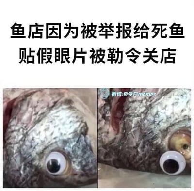 这是一张图文混排的左右对比梗图，上方配有黑色文字说明“鱼店因为被举报给死鱼贴假眼片被勒令关店”。下方左侧是一条死鱼原本的眼睛，右侧则是这条死鱼被贴上了一个类似玩具的圆形白色假眼片的样子，试图伪装成鲜活的鱼。这张图用极其荒诞离谱的商家造假行为制造笑点，讽刺了不良商家为了售卖商品不择手段的行为，没有双关或谐音梗。