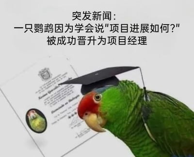 这是一张搞笑梗图，内容是一只戴着学士帽的鹦鹉，背后有一张毕业证书，配文写道：“突发新闻：一只鹦鹉因为学会说‘项目进展如何？’被成功晋升为项目经理”。图片通过动物模仿职场用语，幽默讽刺部分项目经理只会重复询问进度，戏谑了职场的套路和打工人日常。鹦鹉善于模仿人话，影射部分经理只会机械提问，具有双关意义。