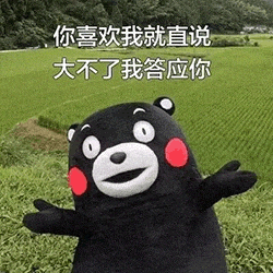 图片中是熊本县吉祥物熊本熊，它站在一片绿色的田野背景前，身体呈黑色，脸颊有标志性的红色圆形图案。熊本熊张开双臂，表情惊喜又兴奋，眼睛瞪得大大的，嘴巴张开。图片上方配有文字：“你喜欢我就直说 大不了我答应你”，整体营造出一种自信又带点搞笑的表白氛围。