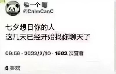 这是一张X（原Twitter）平台的社交媒体截图，账号@CalmCanC发布了一段带有双关梗的调侃段子，内容为“七夕想日你的人 这几天已经开始找你聊天了”，其中“想日你”是低俗暗示的双关语，表面像是表达想念，实际带有冒犯性的低俗暗示，用调侃的语气吐槽七夕前，对人有暧昧或其他想法的人会提前几天就开始主动聊天铺垫。截图显示该内容发布于2023年2月10日9点56分，有1602次查看和8个喜欢，账号头像是经典的熊猫头表情包。