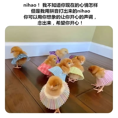 图片上方是一段温馨文字：'nihao！我不知道你现在的心情怎样但是我用拼音打出来的nihao你可以用你想象的让你开心的声调，念出来，希望你开心！'，下方是一张实拍照片，几只毛茸茸的黄色小鸡分别穿着蓝色、粉色、紫色、黄色等彩色纸杯蛋糕纸做的小裙子，站在木地板的角落，背景是米黄色墙壁。整体画面可爱治愈，通过萌宠和暖心文字传递积极情绪。