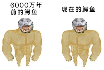 这是一张荒诞搞笑的左右对比梗图，画面左右两侧分别标注“6000万年前的鳄鱼”和“现在的鳄鱼”。两者均采用图像合成的方式，将真实鳄鱼的头部与拥有夸张发达肌肉的类人身体结合，形成拟人化的鳄鱼形象。左侧的拟人化鳄鱼上半身肌肉维度更大、线条更清晰，右侧的肌肉相对略有缩减，但整体视觉上两者差异极小。创作者通过这种几乎无差别的对比，以夸张的拟人化身体调侃鳄鱼历经数千万年的演化，外形几乎没有明显变化，用荒诞的视觉效果制造搞笑氛围，引发观众对生物演化的趣味联想。