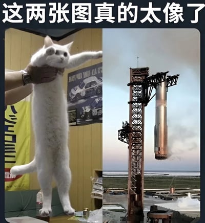 图片上方有白色大字标题“这两张图真的太像了”，下方分为左右两部分。左侧是一只白色猫咪被人用手从腋下托起，猫咪身体直立，前爪向前伸展，后腿自然下垂，尾巴微微翘起，背景中可见带有赛车图案的海报和黄色旗帜。右侧是一张火箭发射场景图，火箭矗立在发射架上，底部似乎有烟雾冒出，发射架的结构与左侧猫咪伸展的四肢在形态上形成高度相似的视觉效果，通过对比突出两者姿势的巧合性，营造出幽默有趣的氛围。