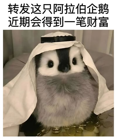 图片上方为黑色大字标题‘转发这只阿拉伯企鹅 近期会得到一笔财富’，下方是一只企鹅玩偶。企鹅面部黑白相间，身体呈灰色，头戴类似阿拉伯传统头巾的白色布料，布料顶部有黑色带子。企鹅坐在一堆硬币上，背景为柔和的浅色表面。整体营造出幽默的‘转发求好运’氛围，通过企鹅戴头巾的形象暗示财富，属于常见的网络祈福类 meme。