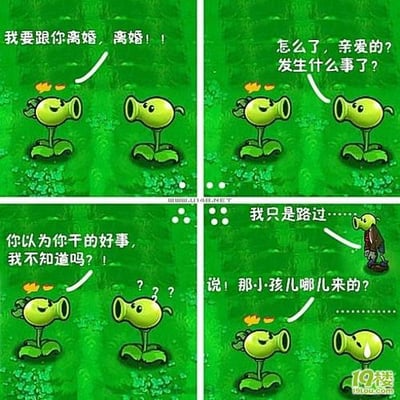 这是一张四格连环漫画，使用《植物大战僵尸》中的向日葵、豌豆射手和小僵尸角色创作。第一格：向日葵愤怒地对豌豆射手喊“我要跟你离婚，离婚！！”；第二格：豌豆射手一脸困惑地问“怎么了，亲爱的？发生什么事了？”；第三格：向日葵怒气冲冲地质问“你认为你干的好事，我不知道吗？！”，豌豆射手头顶出现问号；第四格：向日葵指向路过的小僵尸，厉声问道“说！那小孩儿哪儿来的？”，小僵尸无辜地说“我只是路过……”，豌豆射手则紧张得流汗。漫画通过植物角色间的“夫妻误会”制造幽默效果，将路过的僵尸误认作“孩子”引发笑点。