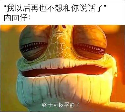 图片上方配有文字“我以后再也不想和你说话了 内向仔：”，下方是动画电影《兰戈》中主角兰戈的特写镜头。兰戈双眼微闭，嘴角上扬，露出一副如释重负的表情，图片底部配有文字“终于可以平静了”。该梗图通过兰戈的表情和文字结合，幽默地展现了内向的人在他人表示不想说话时，内心感到解脱和轻松的真实状态，引发内向性格人群的共鸣。