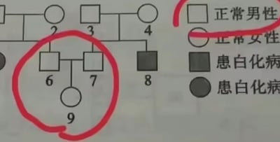 这是一张遗传学系谱图，用于分析白化病的遗传模式。图中使用标准遗传学符号：正方形代表男性，圆形代表女性，空白表示正常个体，黑色填充表示患白化病个体。右侧有图例说明各种符号的含义。图中用红色圆圈重点标记了6号（正常男性）、7号（正常女性）和9号（正常女性）之间的家庭关系，显示了他们在系谱中的位置和遗传状态。整个图表展示了多个世代的家庭成员及其白化病患病情况，是典型的遗传学教学或研究用图。