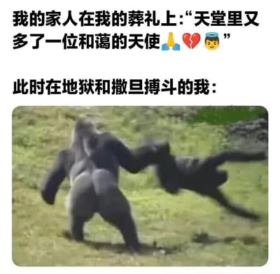 图片上半部分为文字：“我的家人在我的葬礼上:“天堂里又多了一位和蔼的天使⛏️💔👼” 此时在地狱和撒旦搏斗的我:”，下半部分是一张大猩猩与黑色动物激烈搏斗的照片。通过家人认为“我”是和蔼天使与“我”实际在地狱搏斗的强烈反差制造幽默效果，展现了一种出乎意料的搞笑场景。