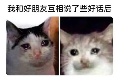 图片上方有文字'我和好朋友互相说了些好话后'，下方是两张猫咪的照片并排拼接。左侧是一只黑白相间的猫，眼睛圆润，表情温柔地注视前方；右侧是一只浅色毛发的猫，同样睁着大眼睛，表情显得无辜可爱。整体通过猫咪的萌态幽默地展现了朋友间互相赞美后的温馨愉快氛围。