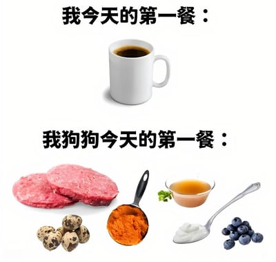 图片分为上下两部分，形成鲜明对比。上半部分标题为“我今天的第一餐：”，下方仅有一个白色马克杯装着的黑咖啡；下半部分标题为“我狗狗今天的第一餐：”，下方则摆放着丰富的食物，包括两块生肉排、一堆鹌鹑蛋、一勺红薯泥、一小碗酱汁、一勺酸奶和一些蓝莓。通过简洁的视觉呈现，幽默地展现了主人早餐的简单与狗狗早餐的营养丰富之间的反差，带有自嘲和宠爱宠物的意味。