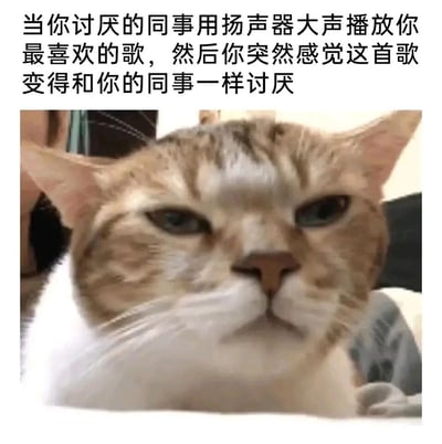 这是一张用于职场情绪吐槽的图文混排表情包，上方配有中文文字：“当你讨厌的同事用扬声器大声播放你最喜欢的歌，然后你突然感觉这首歌变得和你的同事一样讨厌”，精准描述了职场中一种常见的无奈场景——因厌恶的人牵连到原本喜爱的事物，产生的膈应、反感情绪；下方是一只面部神态充满嫌弃的猫咪，它眉头微蹙、嘴角下撇，一脸无语的样子完美契合了文字所描述的情绪，让观看者能快速共情这种被喜好被破坏的负面感受，常被用于职场话题讨论、同事间的日常吐槽中。