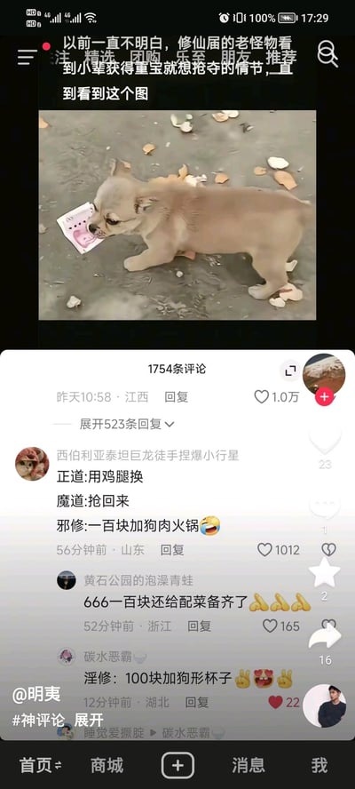 这是一张抖音平台的社交媒体截图，上方配文“以前一直不明白，修仙届的老怪物看到小辈获得重宝就想抢夺的情节，直到看到这个图”，配图是一只真实的小狗叼着百元人民币，周围散落碎瓷片，姿态像是在拼命护着这张钱，仿佛把钱当成了修仙界的“重宝”，瞬间让网友共情修仙老怪想抢夺重宝的心态。下方评论区网友玩梗，将不同修仙流派对应不同的“获取这笔钱”的方式：正道用鸡腿交换，魔道直接抢夺，邪修则是“拿100块再加狗肉火锅”，还有网友延伸出“淫修：100块加狗形杯子”的搞笑评论，整个内容充满了戏谑的玩梗氛围，把宠物护食护钱的日常和修仙梗结合，笑点十足。