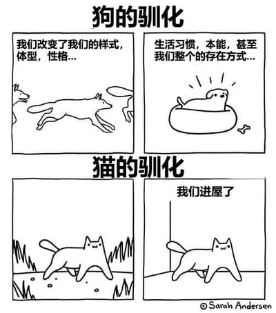 四格黑白漫画对比狗和猫的驯化差异。上半部分“狗的驯化”：左侧狼群奔跑，配文“我们改变了我们的样式，体型，性格...”；右侧家狗卧于狗窝，配文“生活习惯，本能，甚至我们整个的存在方式...”。下半部分“猫的驯化”：左侧野猫在野外行走；右侧家猫走进屋内，配文“我们进屋了”。通过夸张对比展现狗被深度驯化而猫几乎未改变的幽默效果。