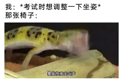 图片上方文字描述了考试时想调整坐姿的场景，下方是一只黄色带黑色斑点的蜥蜴张大嘴巴、似乎在发出高分贝叫声的画面，画面底部配有文字'暴发性高尖叫声'。通过拟人化手法，将椅子在调整坐姿时可能发出的声响夸张为蜥蜴的尖叫，营造出搞笑又无奈的氛围。