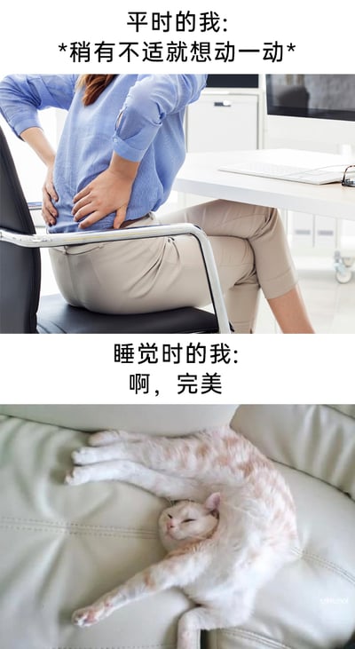 这是一张上下结构的对比梗图，通过两种状态的反差来调侃大众的日常身体感受。上半部分展示了一位坐在办公椅上的职场女性，她双手扶着后腰，配文“平时的我：*稍有不适就想动一动*”，表现出日常坐着时身体容易产生不适感，忍不住频繁调整姿势的状态；下半部分是一只以扭曲姿势瘫在沙发上熟睡的猫咪，配文“睡觉时的我：啊，完美”，展现出睡觉时不管姿势多么奇怪，都能感到舒适自在的状态。整张图通过贴近生活的场景和趣味对比，精准戳中很多人日常与睡觉时的身体感受差异，引发强烈共鸣。