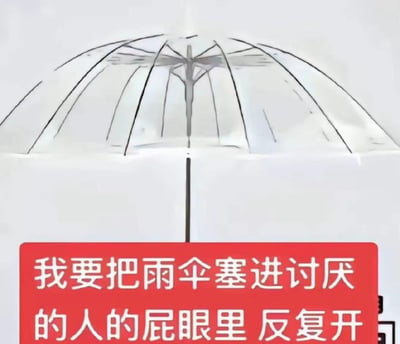 这是一张宣泄情绪的吐槽梗图，上半部分是简单的线稿绘制的雨伞，伞的下半部分与一条竖线（模拟缝隙）对齐，视觉上营造出雨伞要被塞进缝隙的画面；下半部分是红色背景的白色醒目文字：“我要把雨伞塞进讨厌的人的屁眼里 反复开”。图中没有双关或谐音梗，而是用夸张、低俗的直白表述，来强烈宣泄对讨厌之人的愤怒与不满情绪。