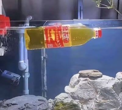 这是一张实拍的静态图片，画面主体为一个布置有灰色造景石块、水循环过滤管道的鱼缸，一瓶未拆封的金龙鱼品牌食用油横放在鱼缸的水面处，大部分瓶身浸在水中，黄色的油体、红底白字的品牌标签和鱼缸的蓝色水体、造景形成强烈反差。该图利用品牌名“金龙鱼”刚好对应鱼缸饲养观赏鱼的场景，制造出趣味巧合的玩梗效果。