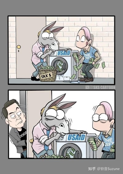 这是一幅上下分镜的连环卡通漫画，描绘了一场被抓现行的戏码：第一格中，一只穿着衬衫领带的拟人化驴子，正操作着印有“USAID”字样的洗衣机，将标有“TAX $”的钱箱里的钞票放入洗衣机中“清洗”，洗衣机转出“干净”的美元；旁边的粉发人物穿着印有“THE LEFT”的上衣，正开心地接过洗好的钞票，两人神态十分得意。第二格中，一名穿着印有“DOGE”字样内搭的男子突然从门后现身，表情严肃地注视着他们；原本得意的驴子和粉发人物瞬间变得惊慌失措，驴子的嘴抿起，粉发人物瞪大双眼，场面瞬间变得尴尬又紧张。