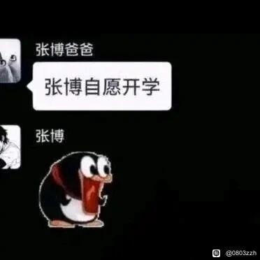 这是一张社交媒体聊天记录截图，画面中张博爸爸发送消息“张博自愿开学”，张博则回复了一张来自经典动画《鼹鼠的故事》的鼹鼠震惊表情包，表情包里的鼹鼠大张嘴巴、身体后仰，姿态充满了不敢置信的情绪，生动地表现出张博对于“被自愿开学”的抗拒与震惊，用幽默的方式调侃了开学季学生普遍存在的抵触心理，展现了家庭中关于开学这件事的有趣互动。