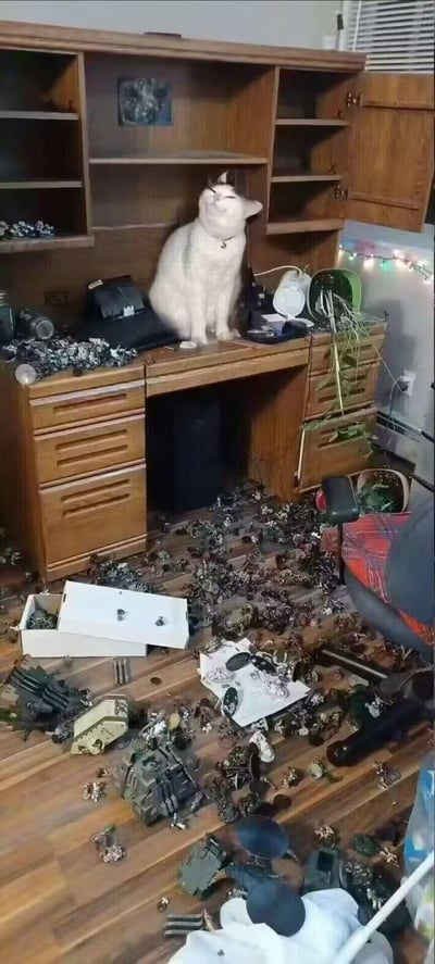 木质书桌前的地面上散落着大量精细的微缩模型、坦克模型，还有打开的模型收纳盒，显然是被桌上的白猫弄乱的。这只白胖猫咪坐在书桌台面上，歪头眯眼，表情看起来十分傲娇，完全不在意自己闯下的“大祸”，满满的宠物拆家现场既视感，让人又气又好笑。