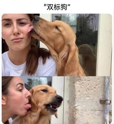 这是一张上下拼接的对比式梗图，顶部配有文字“双标狗”。上方画面中，一只金毛犬亲昵地舔舐着身旁女士的脸颊，神态放松享受；下方画面里，女士反过来舔舐金毛的脸，金毛却立刻皱起脸、张开嘴，露出十分嫌弃抗拒的神态。通过狗狗前后截然不同的反应，生动形象地讽刺了那些自己可以做某事，却不允许他人做同样行为的“双标”现象，用宠物的真实反应制造出搞笑的反差效果。