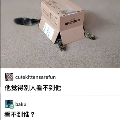 一只猫把自己藏在一个棕色的Barnes & Noble纸箱里，只露出了尾巴和两只前爪，看起来像是在玩捉迷藏。图片下方有两条评论，第一条来自用户"cutekittensarefun"："他觉得别人看不到他"，第二条来自用户"baku"："看不到谁？"，形成了有趣的互动效果。猫咪天真地以为躲在纸箱里就不会被发现，这种拟人化的行为和评论区的调侃产生了幽默效果。