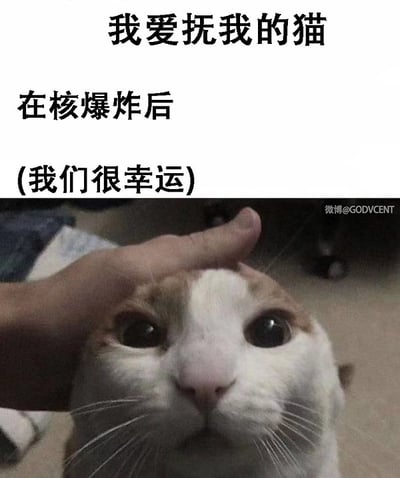 这是一张将末日氛围和猫咪日常结合的黑色幽默梗图。图片上方文字表达在极端场景下（如核爆炸后）依旧保持“摸猫”这一简单乐趣的荒诞态度，下方的猫咪表情呆滞，配合文字营造出怪诞又带点自嘲的氛围，从反差中制造笑点。双关点在于无论多糟糕都乐观面对甚至继续普通生活。