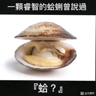 这是一张无厘头风格的搞笑表情包，整体为图文混排的静态单图。上方黑色区域配文“一颗睿智的蛤蜊曾说过”，中间是一张真实的半开壳蛤蜊的照片，下方黑色区域配文“『蛤？』”。作品利用“蛤”字的双重含义——既是蛤蜊的名称，又是中文口语中表疑惑的谐音词（近似“啥？”“啊？”），以一本正经的前置铺垫引出简单的疑问语，形成反差感制造笑点，可用于在聊天场景中表达疑惑、不解，或是用来调侃、制造轻松搞笑的氛围。