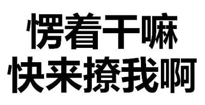 这是一张纯文字图片，背景为纯白色，上面用黑色粗体字写着“愣着干嘛 快来撩我啊”。文字内容直白俏皮，带有主动邀请互动的意味，整体风格简洁明了，没有其他图案或装饰元素。