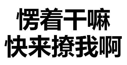 愣着干嘛 快来撩我啊