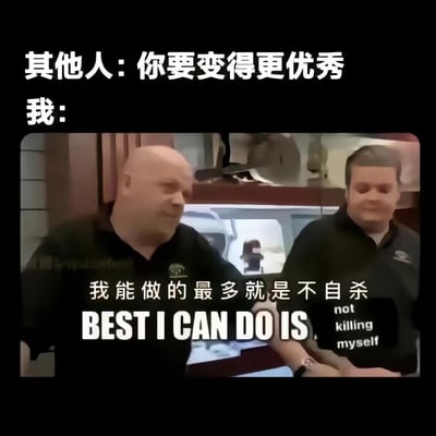 这是一张充满黑色幽默的网络梗图，采用上下分层的图文结构。上方文字分为两部分，“其他人：你要变得更优秀”精准概括了外界对个体的普遍期待，代表着社会、职场或身边人对“进步”“优秀”的要求；下方配图截取了两个穿着深色上衣的真人男性的画面，左侧男性伸手摊开，表情带着无奈与摆烂感，右侧男性配合做出动作，图中叠加了醒目的中文“我能做的最多就是不自杀”和英文“BEST I CAN DO IS not killing myself”的文字内容。整张图通过强烈的期待与现实的反差，用夸张自嘲的方式，生动展现了当代人在生活、工作等多重压力下，被外界过高期待裹挟，身心疲惫到只能勉强维持最低生存状态的真实心境，以黑色幽默的口吻抒发了对过度压力的反抗与无奈情绪。